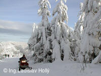 Pustevenské sněhovánky, 2004