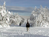 Pustevenské sněhovánky, 2004
