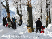 Pustevenské sněhovánky, 2004
