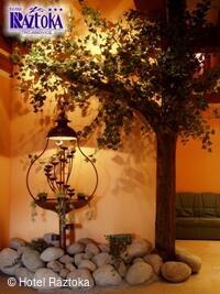 Hotel Ráztoka