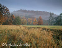 Hukvaldy 069