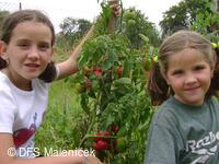 Maleníček, dětský folklorní soubor
